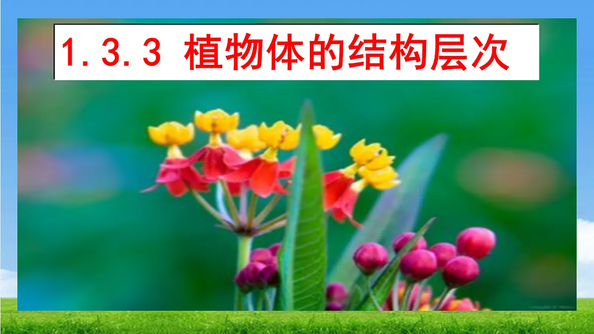 17359054第1页
