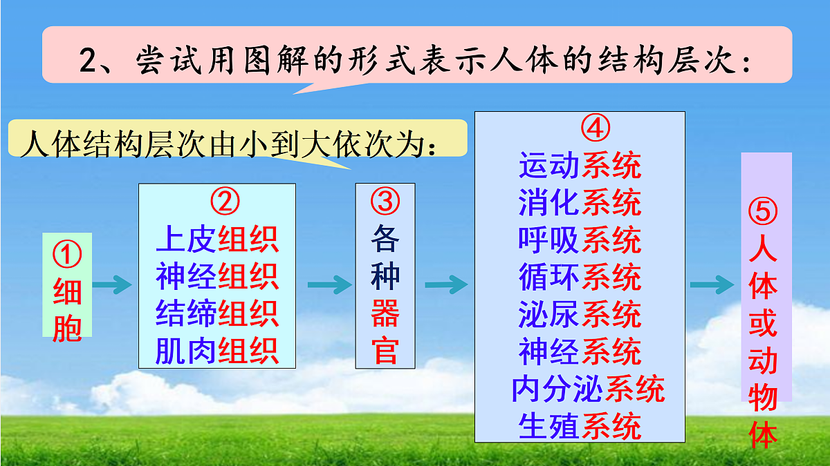 17359054第3页