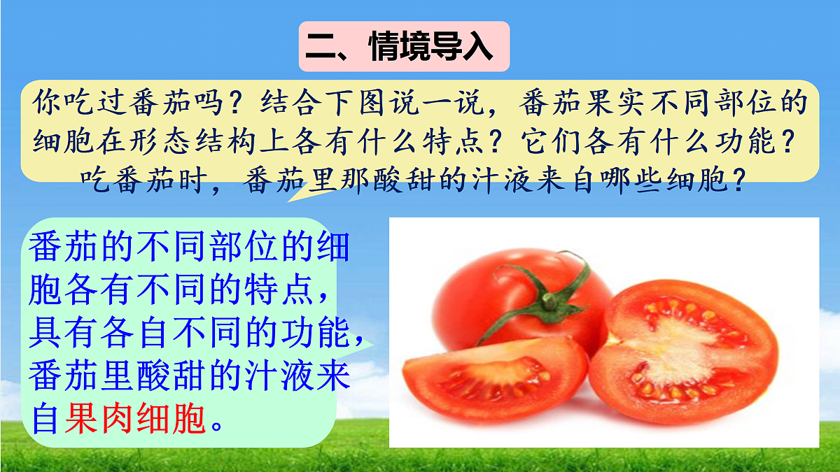 17359054第4页