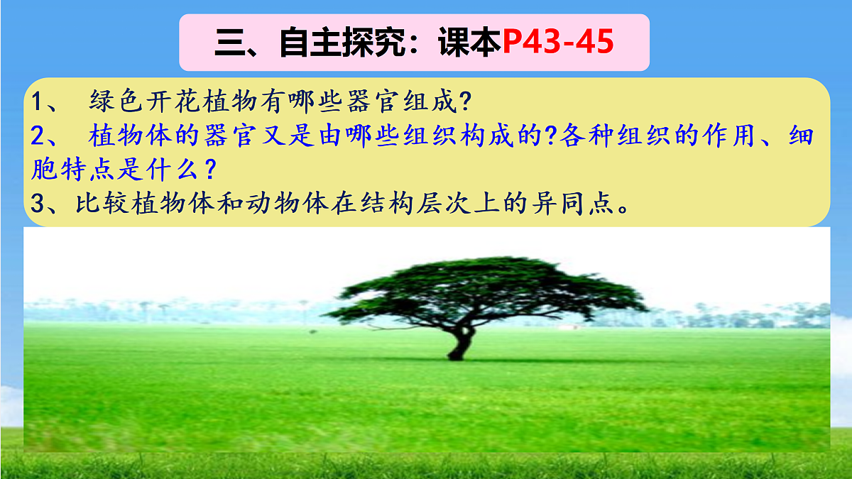 17359054第5页