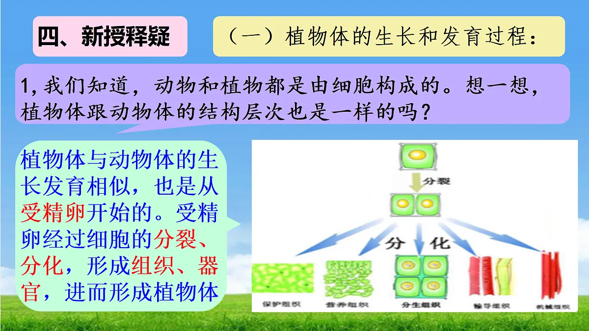 17359054第6页