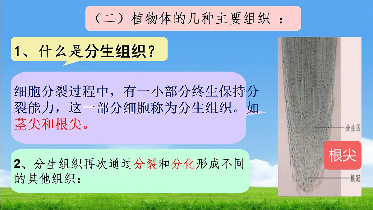 17359054第7页