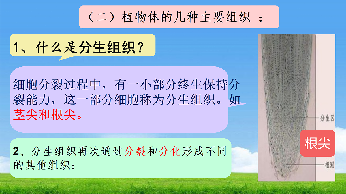 17359054第7页