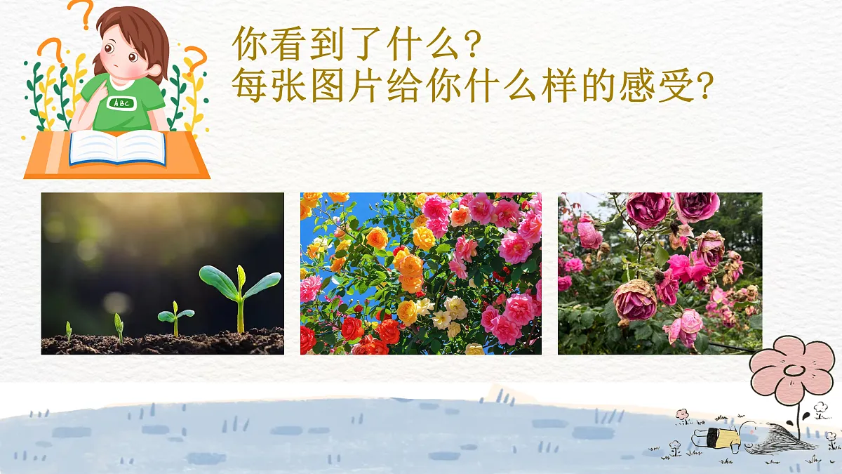 17359278第4页
