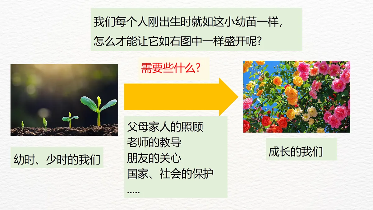 17359278第6页