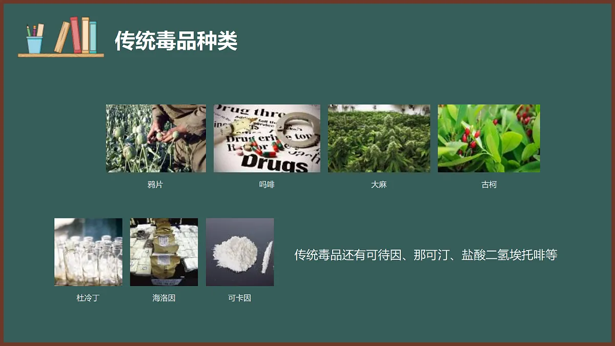 17359281第5页