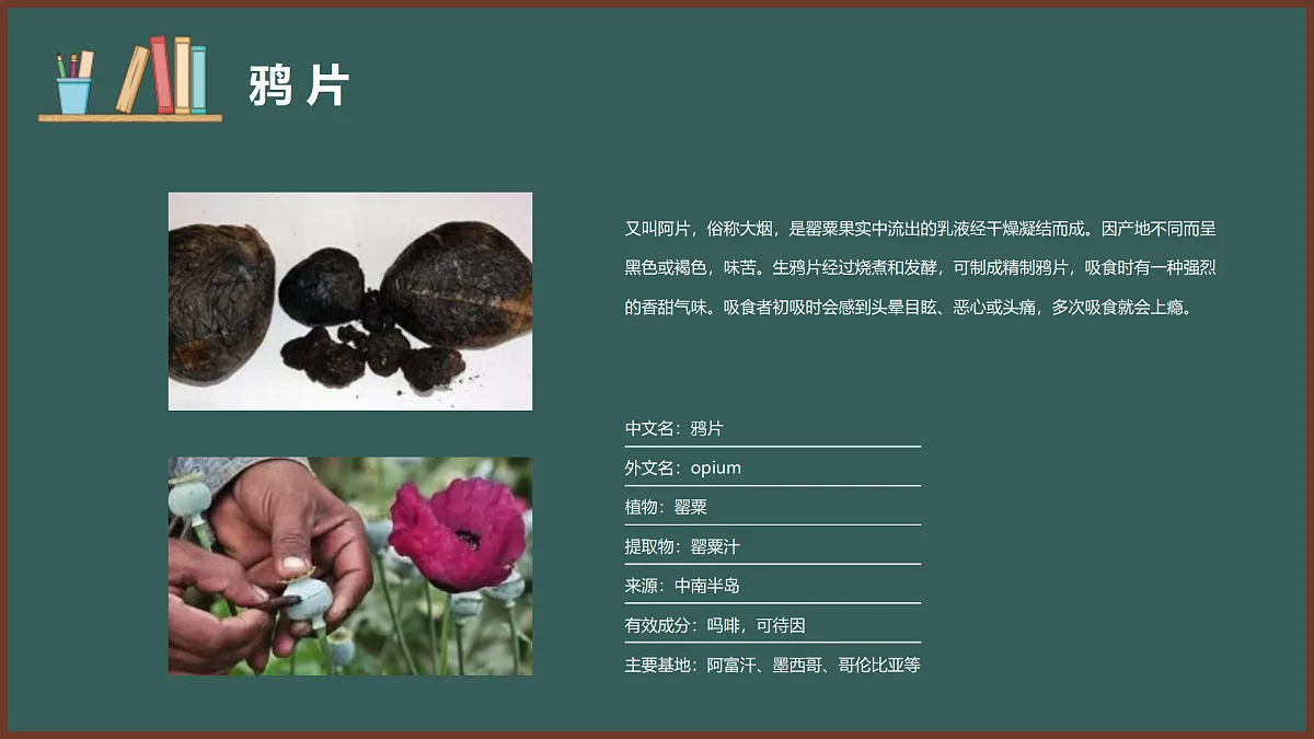 17359281第6页