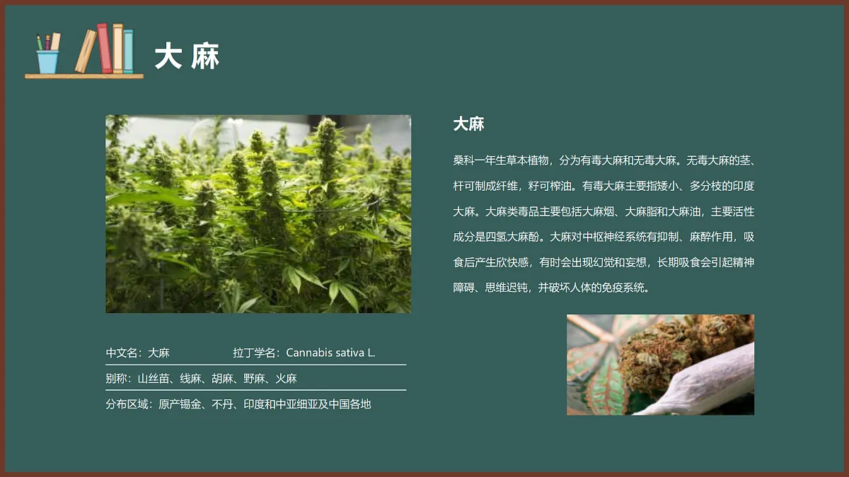 17359281第8页