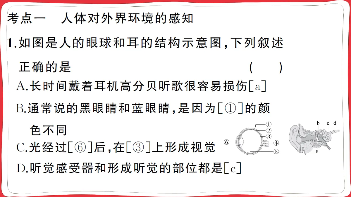 17359289第5页