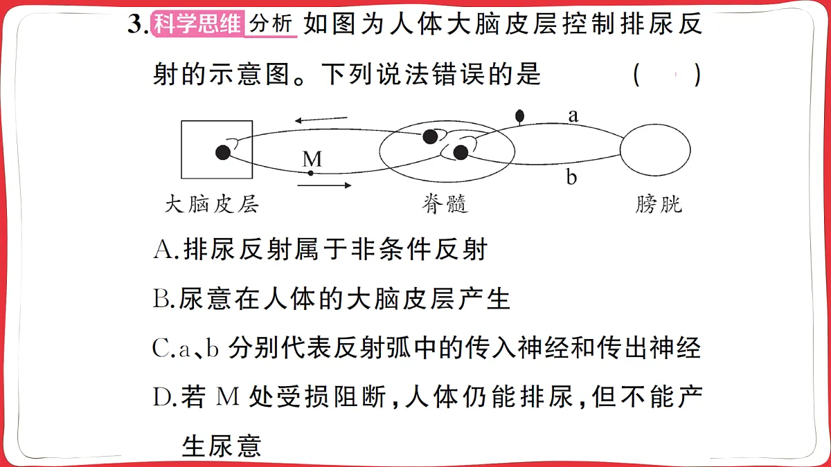 17359289第8页