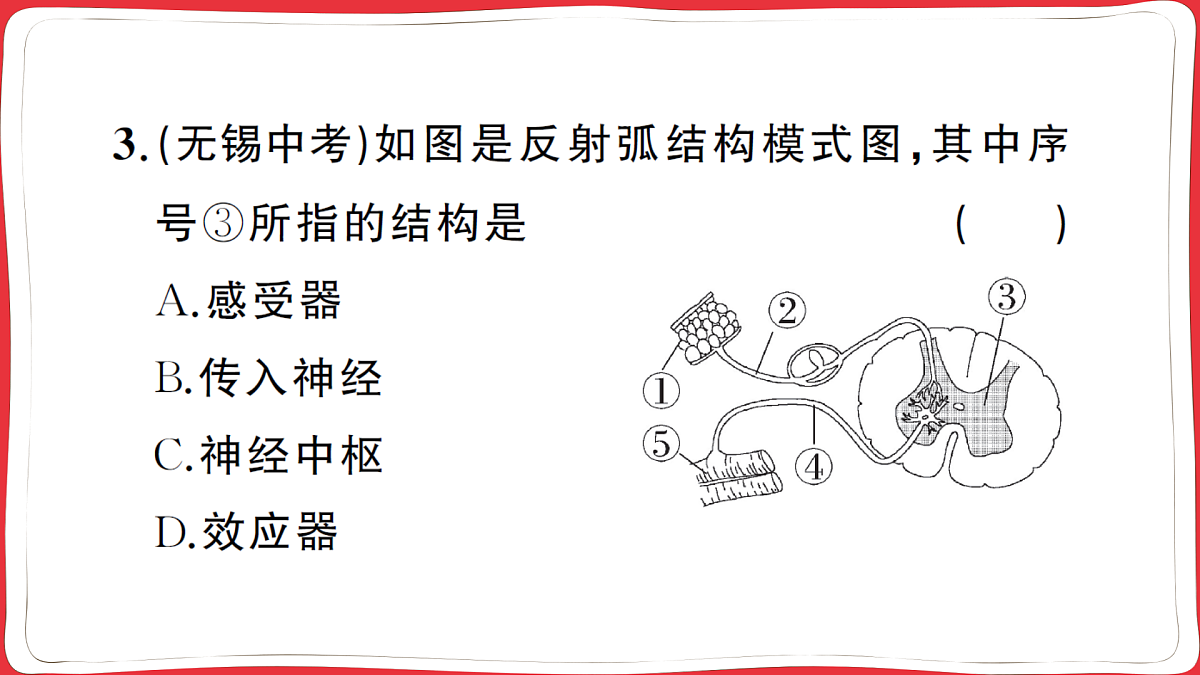17359290第8页
