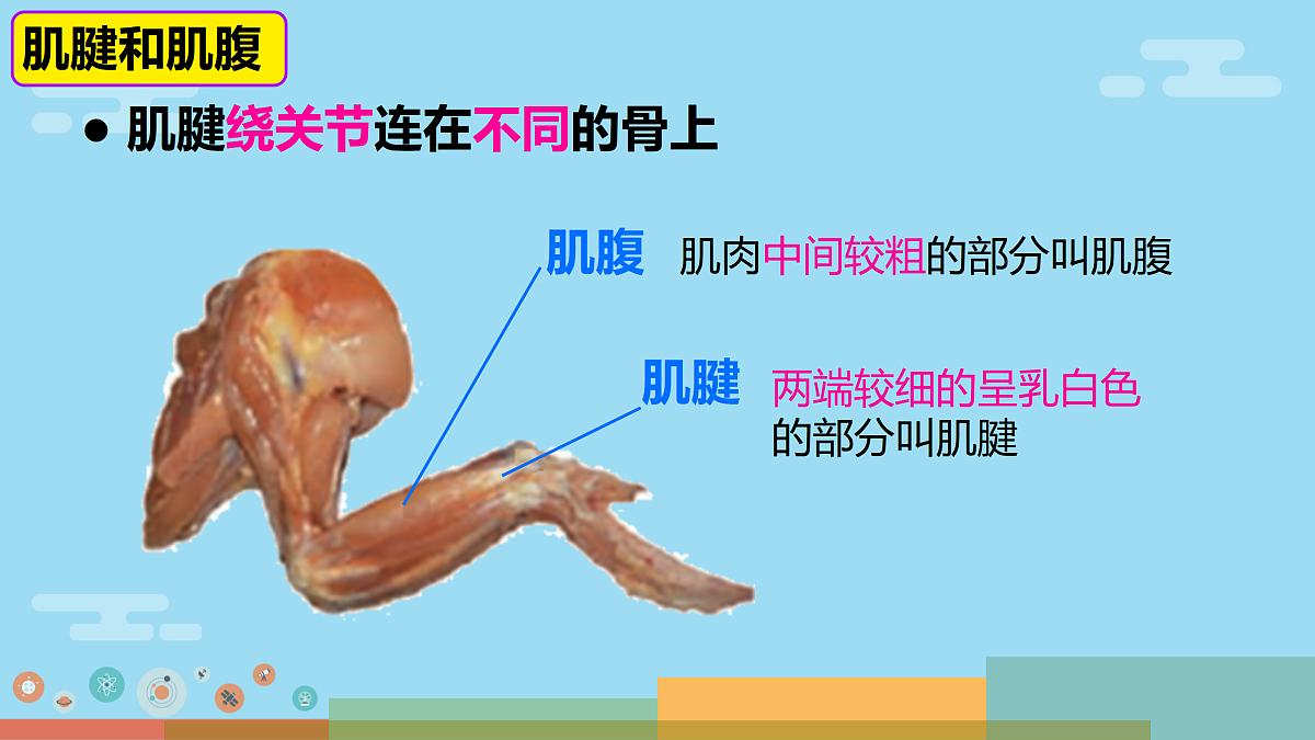 17359291第6页