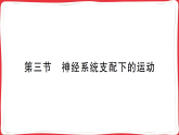 4.6.3 神经系统支配下的运动习题课件2025人教版生物学八年级上册（含答案）