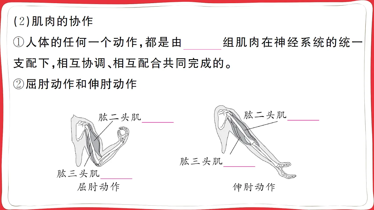 17359292第4页