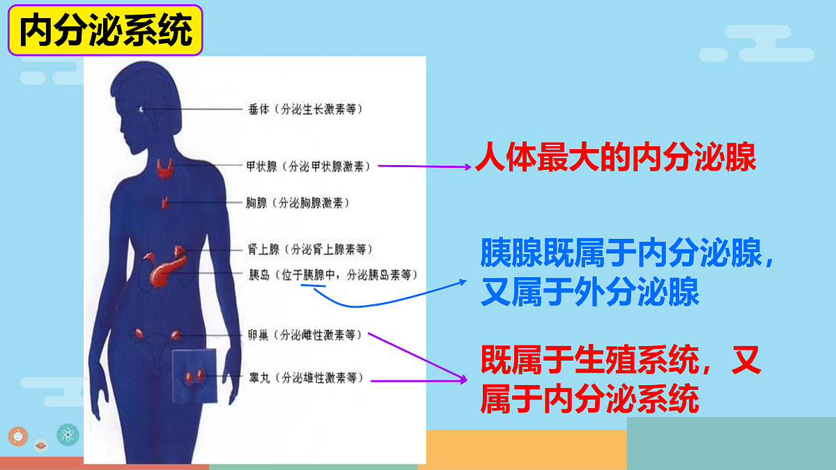 17359293第5页