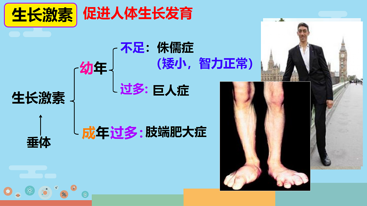 17359293第8页
