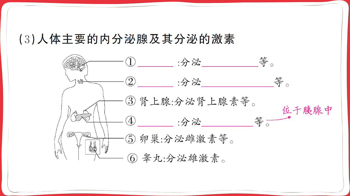 17359294第3页