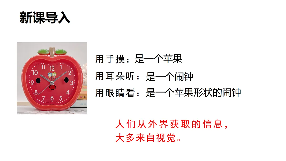 17359295第2页