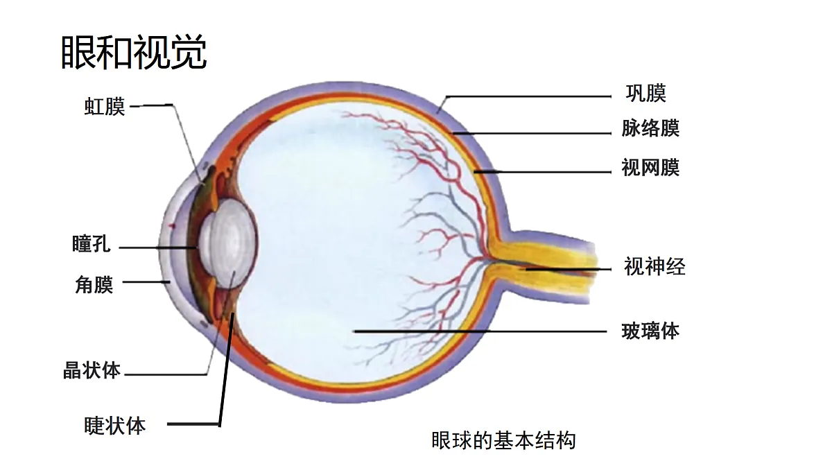 17359295第3页