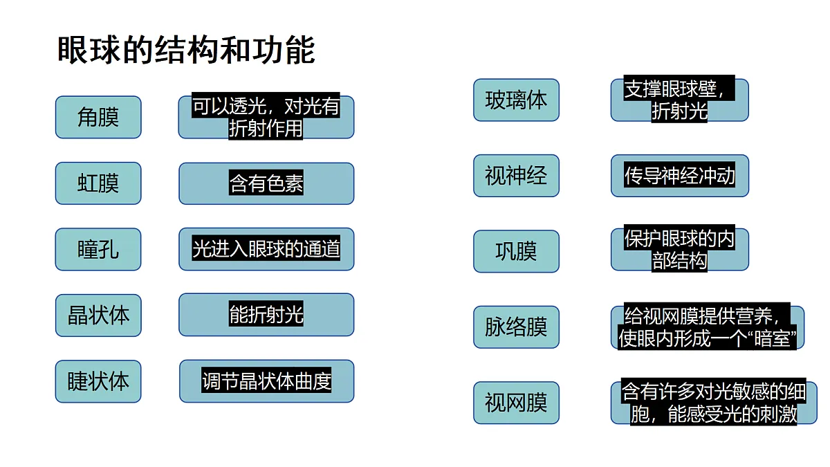 17359295第4页