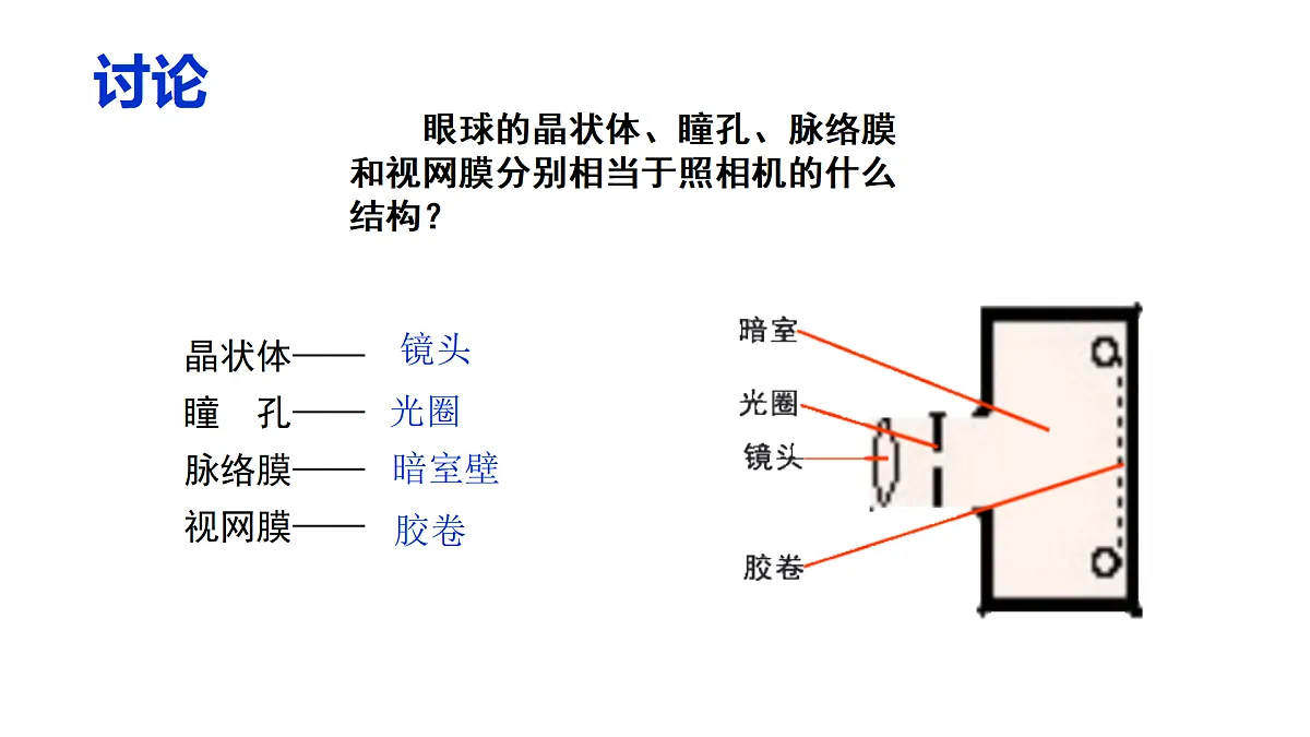 17359295第6页