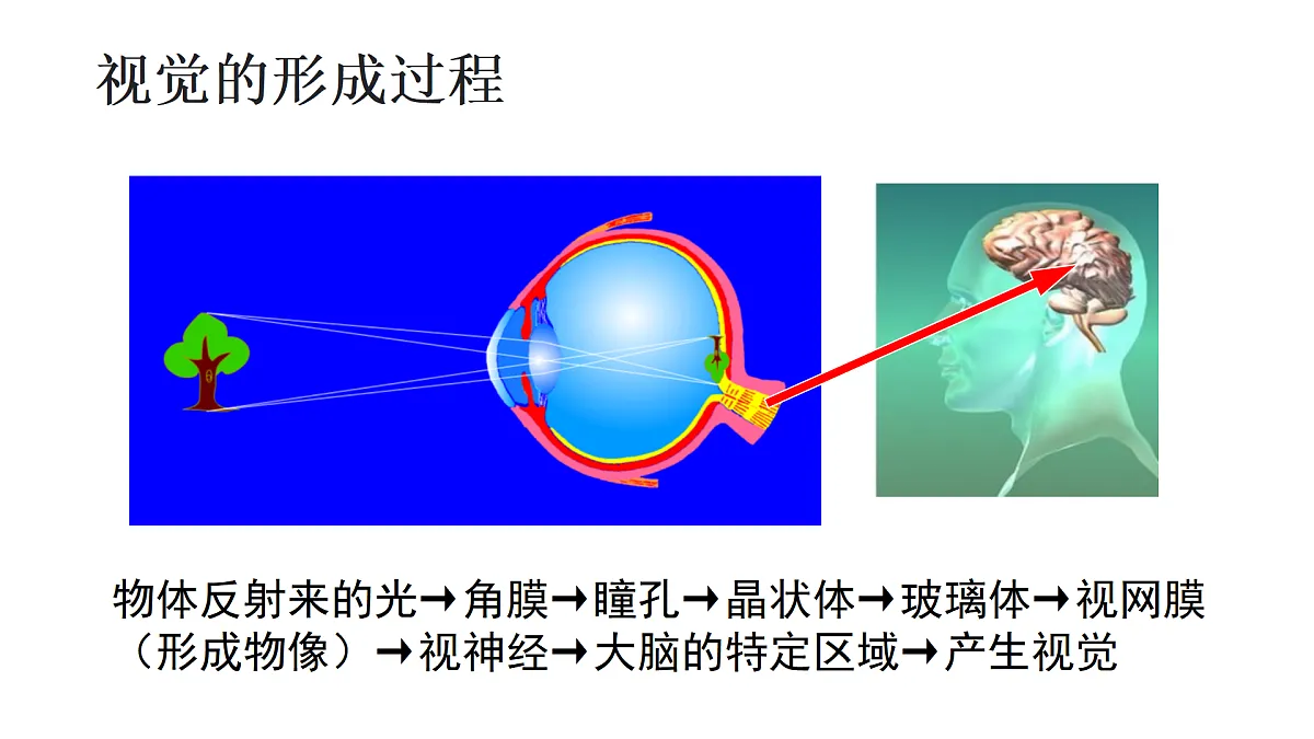 17359295第7页