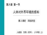 4.6.1人体对外界环境的感知第2课时 课件2025-2026学年人教版八年级生物上册