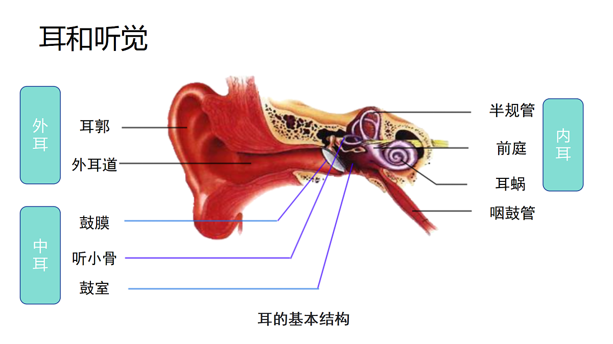 17359296第3页