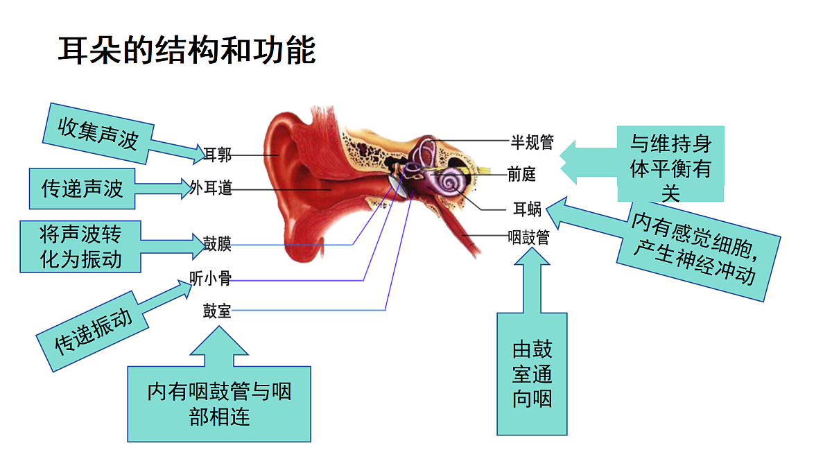 17359296第4页