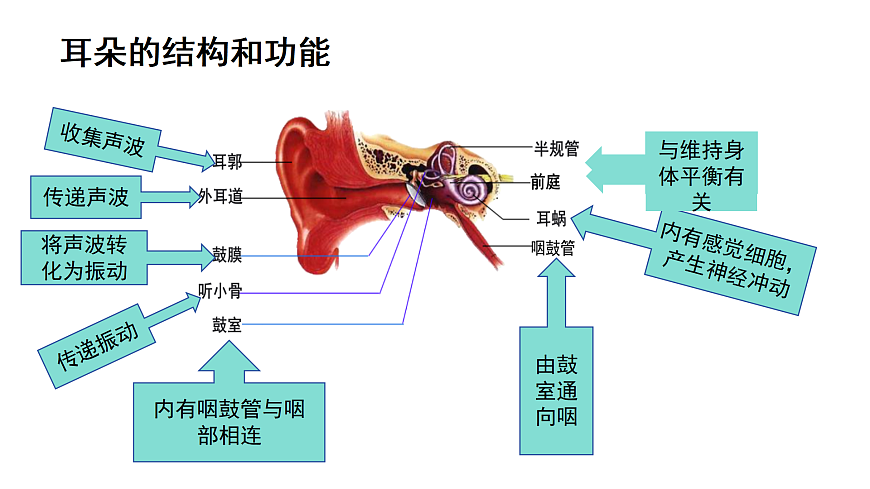 17359296第4页