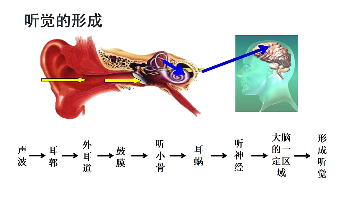 17359296第5页