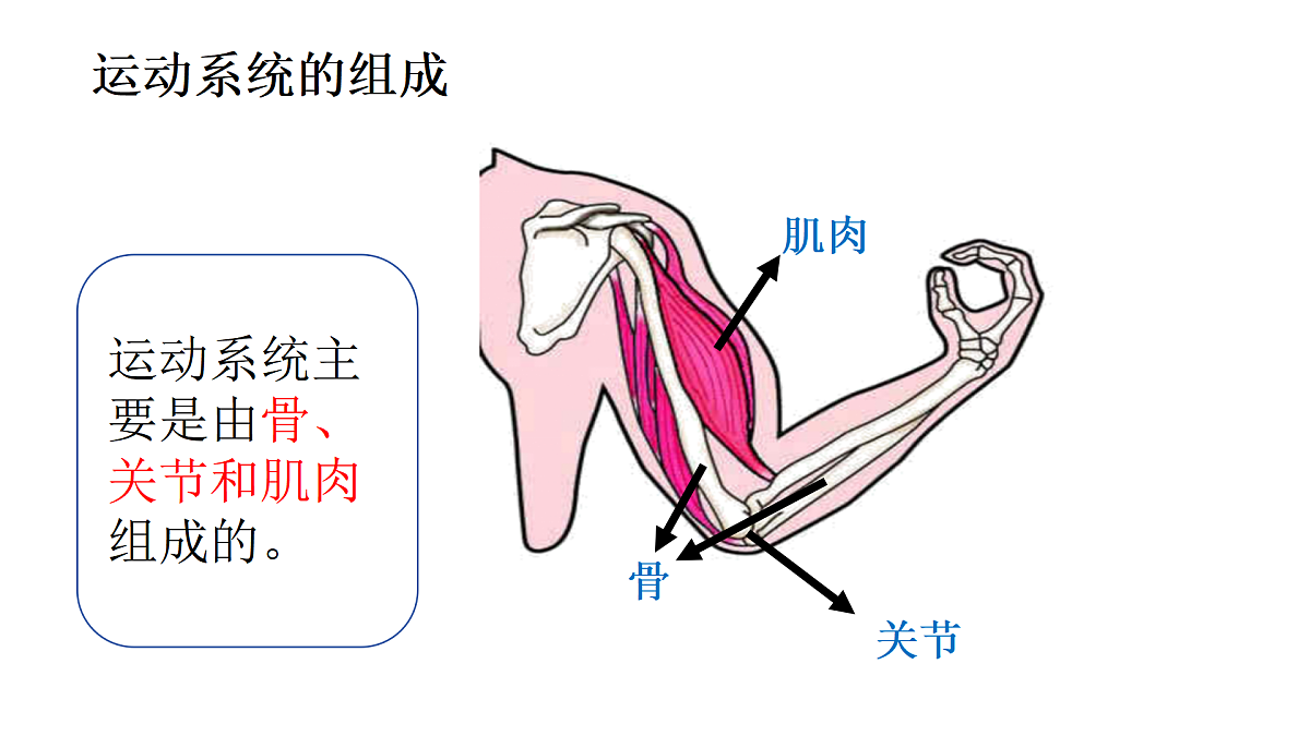 17359297第3页