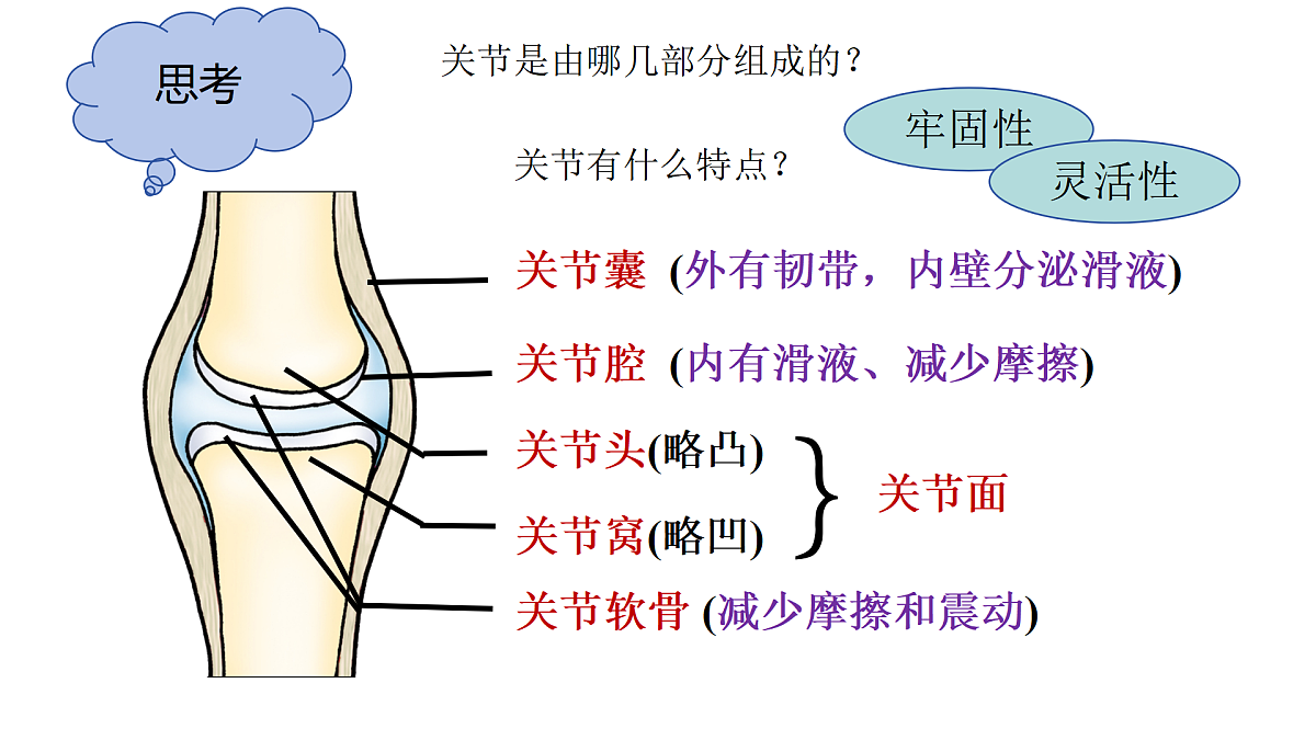 17359297第4页