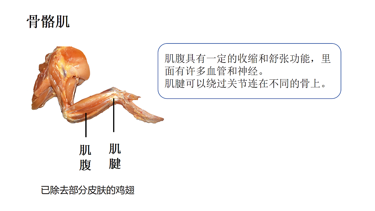 17359297第5页