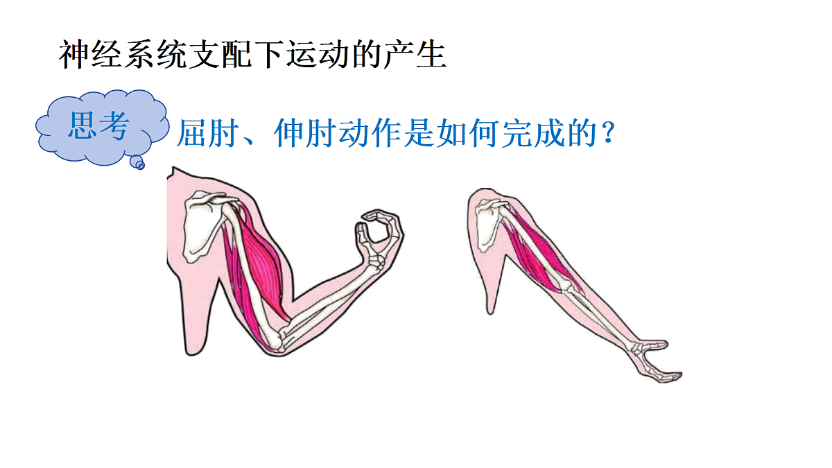 17359297第7页