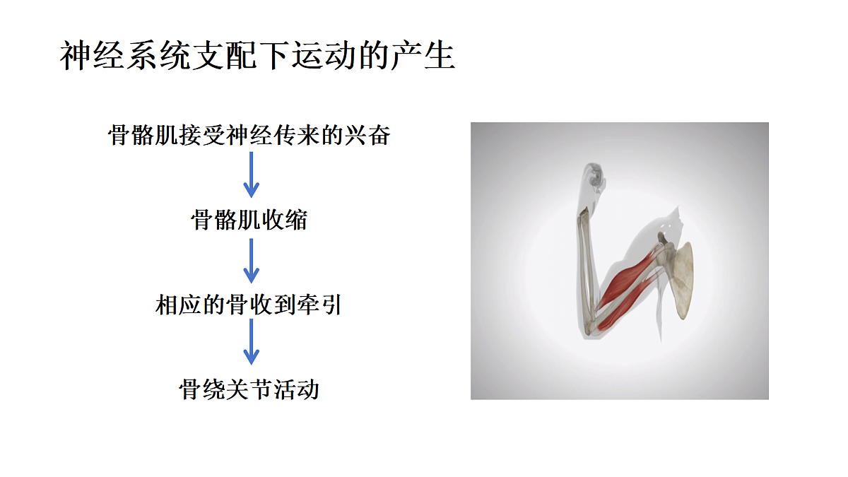 17359297第8页