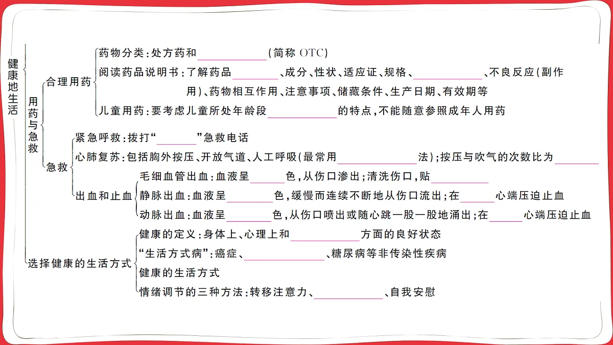 17359298第3页
