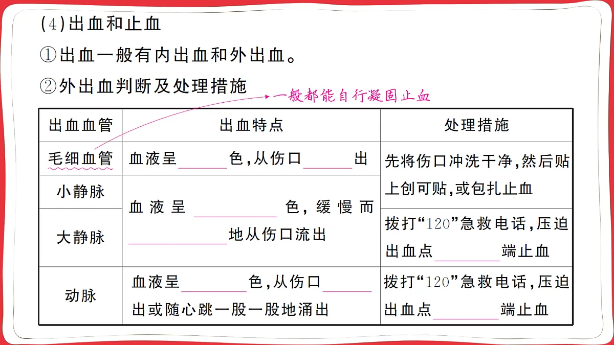 17359301第5页