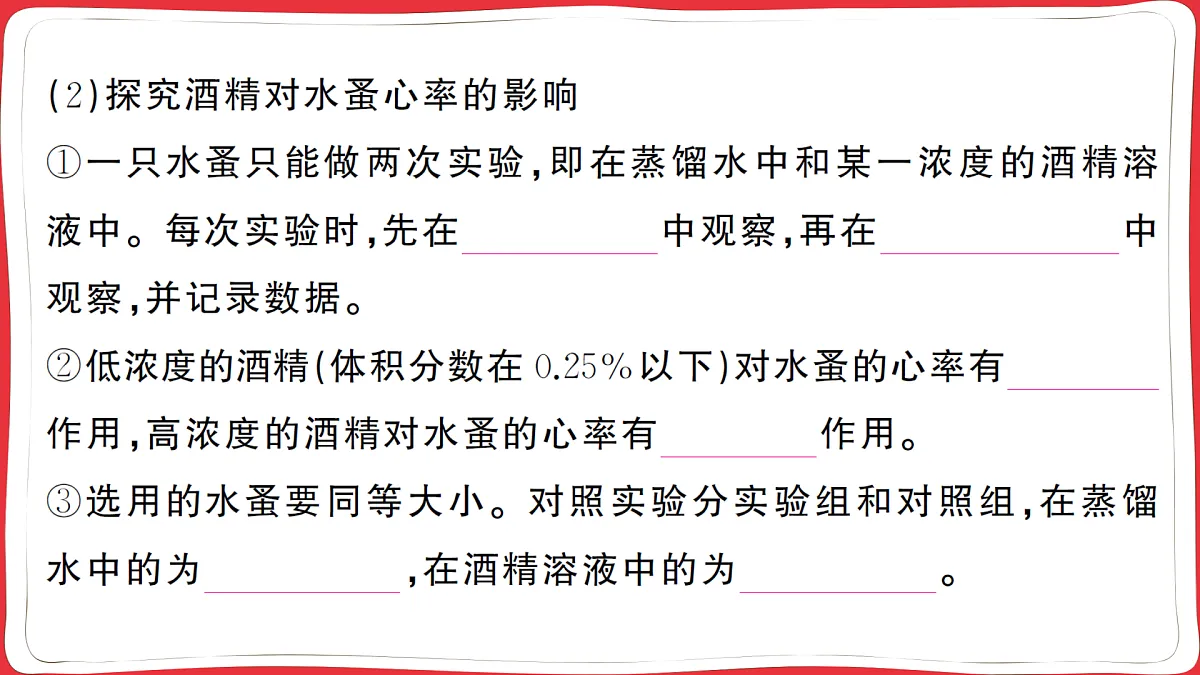 17359303第3页