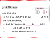 5.1.1 生物与环境的相互作用习题课件 2025人教版生物八年级上册（含答案）