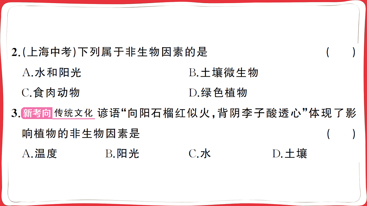 17359304第5页