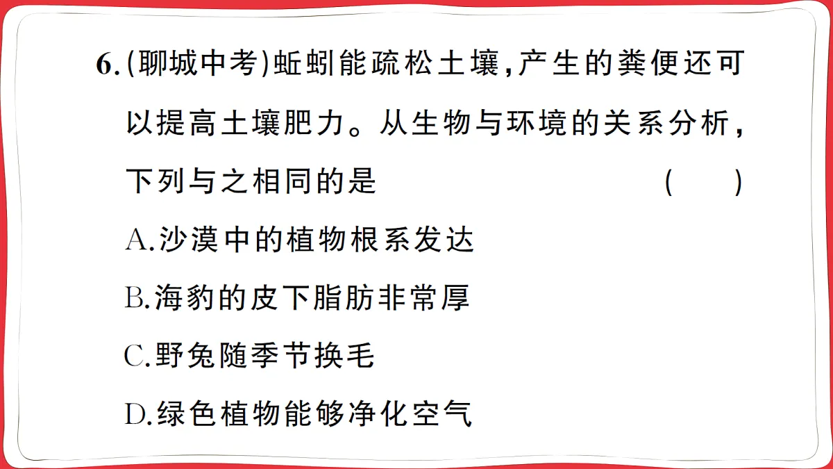 17359304第8页