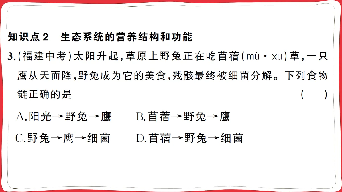 17359305第7页