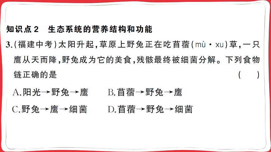 17359305第7页