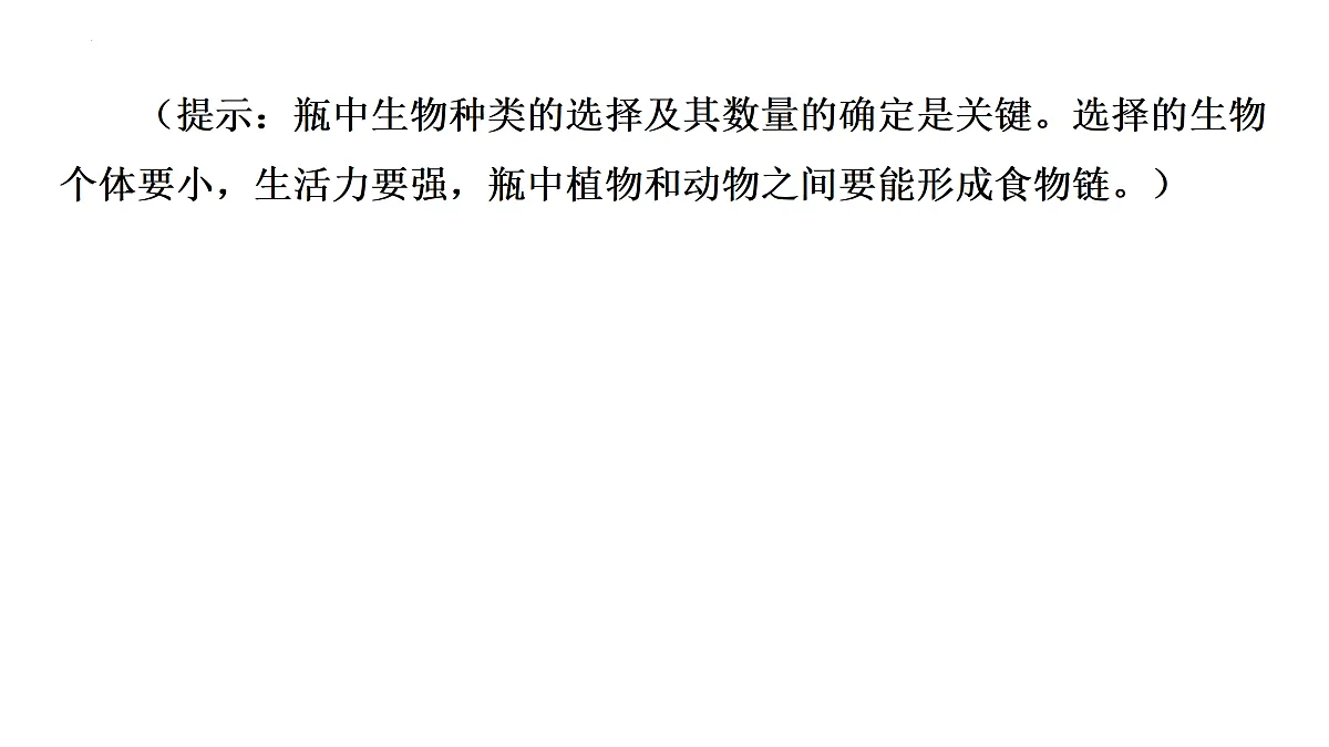 17359307第5页