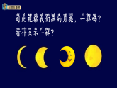 大象版一年级科学上册 4.1 月亮什么样（教案+课件）