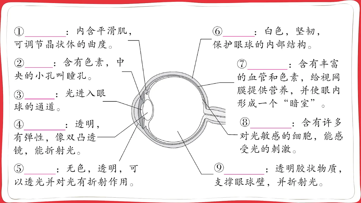 17359472第3页