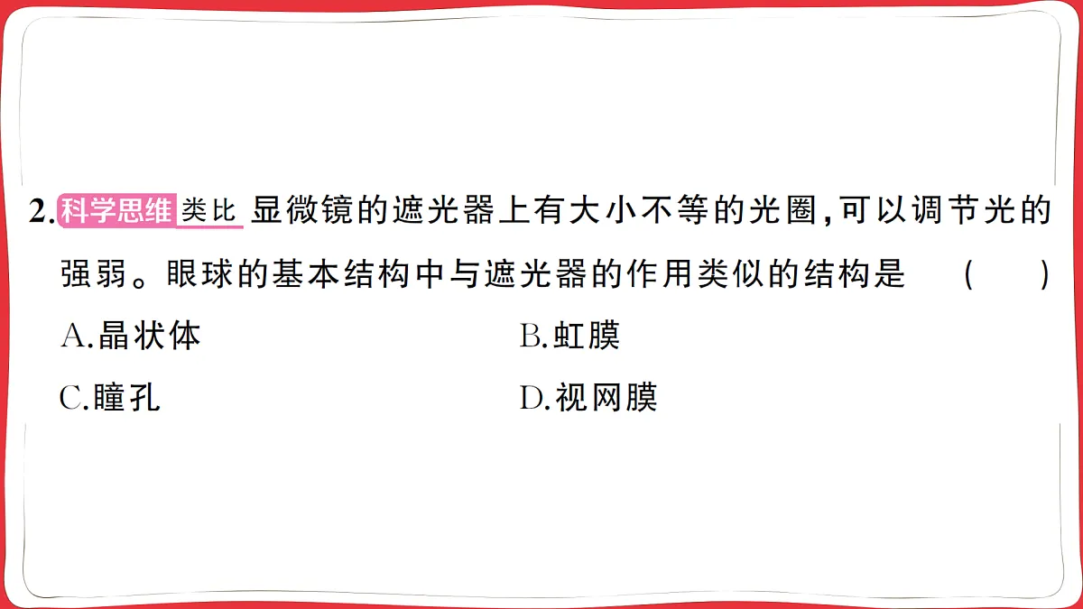 17359472第7页