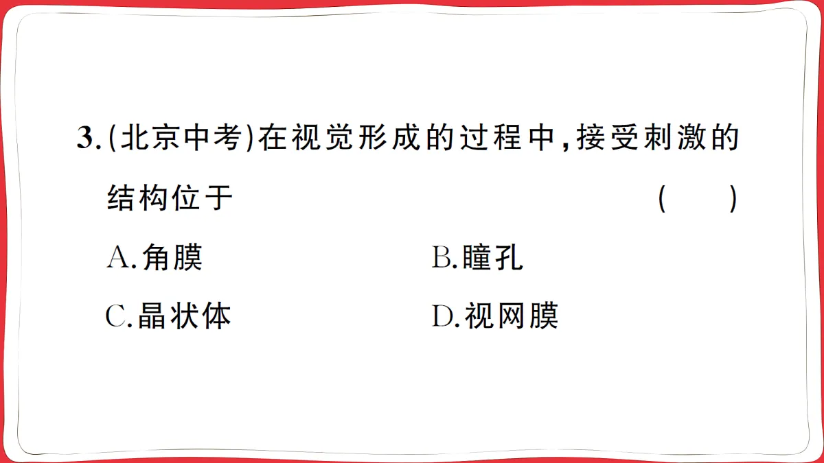 17359472第8页
