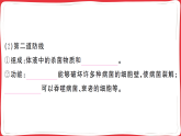 4.7.2 第1课时 人体的三道防线习题课件 2025人教版生物八年级上册（含答案）
